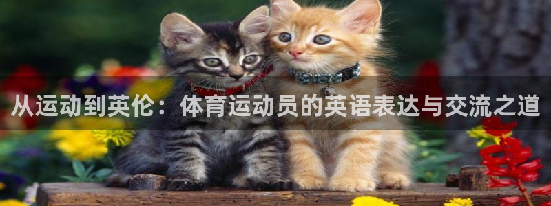 betway西汉姆官网：从运动到英伦：体育运动员的英语表达与交流之道