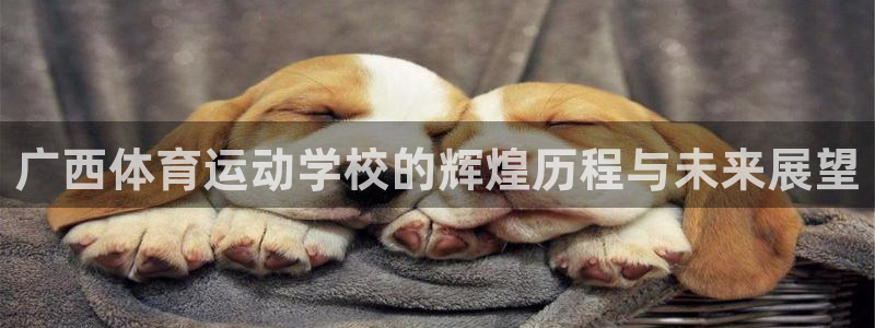 必威betway西汉姆联：广西体育运动学校的辉煌历程与未来展望