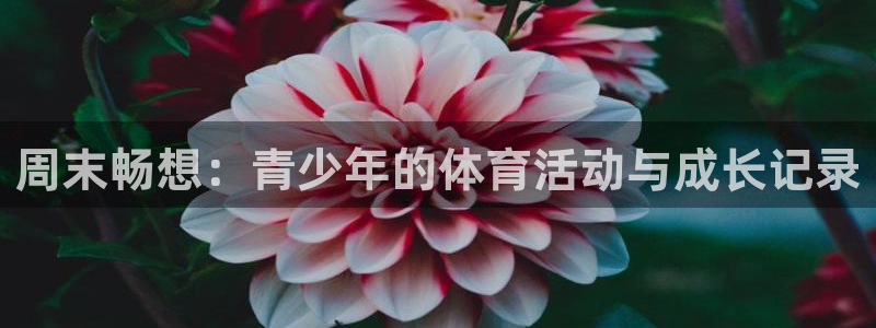 betway西汉姆联官网：周末畅想：青少年的体育活动与成长记录